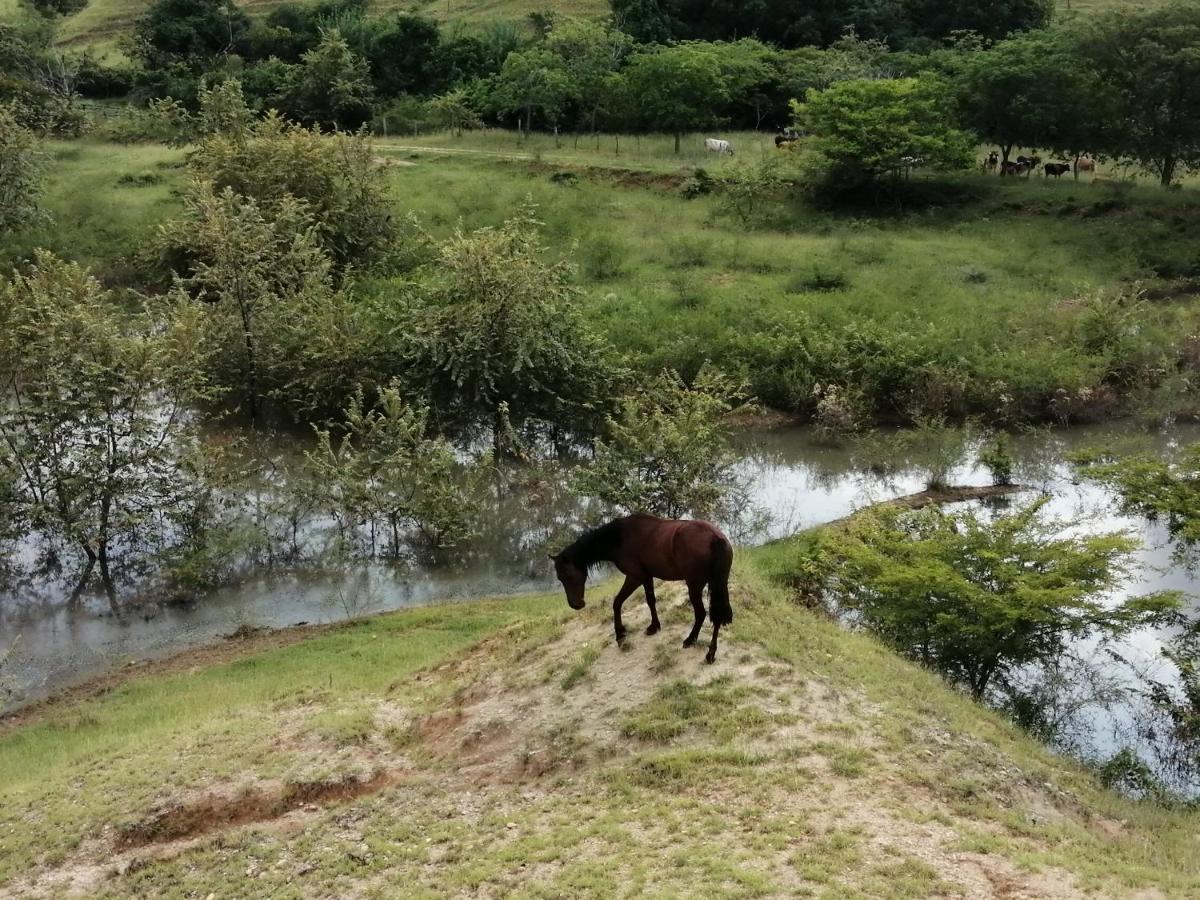 Finca Ecoturistica Los Jagueyes Baraya Εξωτερικό φωτογραφία