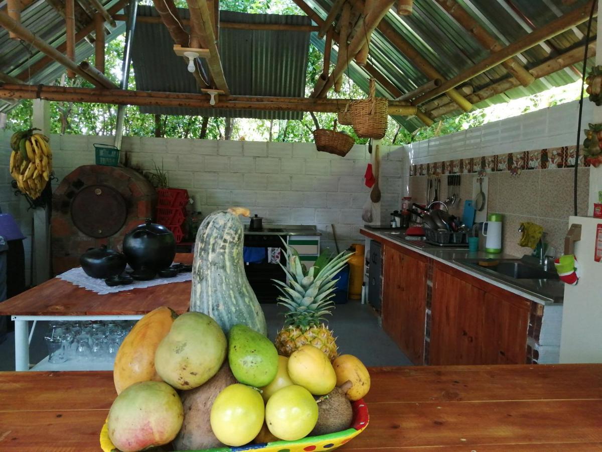 Finca Ecoturistica Los Jagueyes Baraya Εξωτερικό φωτογραφία