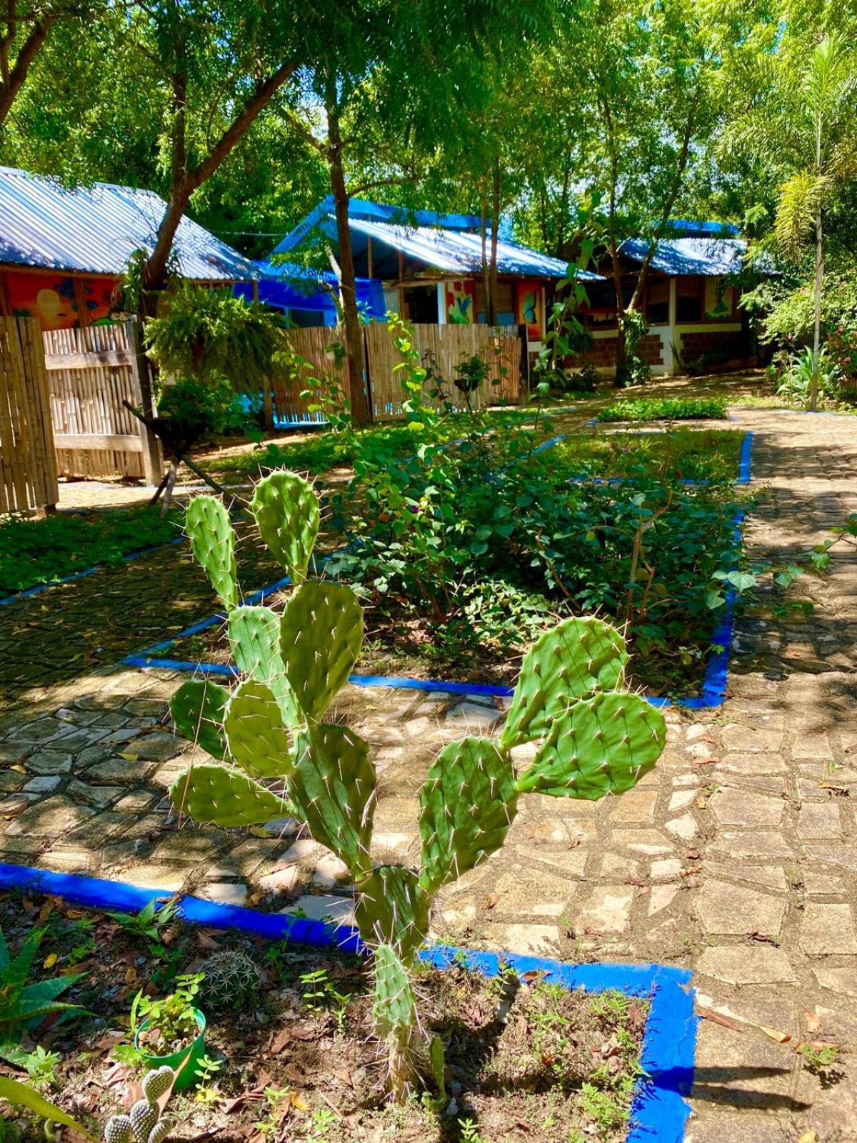 Finca Ecoturistica Los Jagueyes Baraya Εξωτερικό φωτογραφία