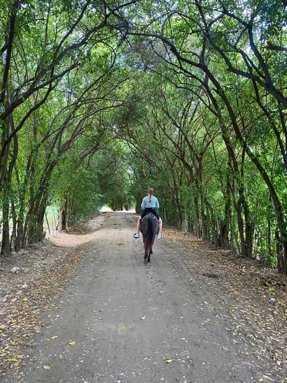 Finca Ecoturistica Los Jagueyes Baraya Εξωτερικό φωτογραφία